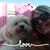 Melissa Moceri Failla's profile image