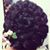 Bonita Amor's profile image
