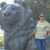 Ivonne Caceres's profile image