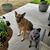Jennifer Gray's profile image