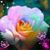 Mary Casamassina's profile image