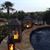 Susan Ahmad-Tirhi's profile image