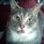 Rich Bogardus's profile image