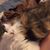 Jen Lilienthal's profile image