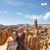 Sharon Greenspan's profile image