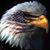 Deborah Guthrie's profile image