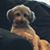 Bev Austin Roberts's profile image
