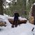 Sharon Darling Proulx's profile image