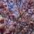 Catherine L Hagan's profile image