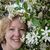 Betsy Kelly Baste's profile image