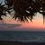 Linda Kent Halik's profile image