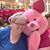 Susan Scribner's profile image