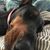 Ray Brown's profile image