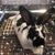 Rikki Olson's profile image