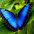 Rebecca Mccullough's profile image