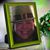 Amy Kane's profile image