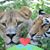 Linda Frone's profile image