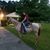 Laura Goodale's profile image