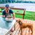 Matthew D. Helak's profile image