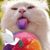 Bailey Chantelle Crockett's profile image