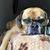 Patrick P Stasen's profile image