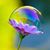 Amber Edgington's profile image