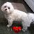 Kathy Adkins Averette's profile image