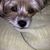 Carol Cawley's profile image