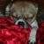 Keely Worthington's profile image