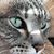 Ivana Nolke's profile image