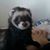 Tina Smith Martinez's profile image