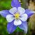 Cindy Bartlett Williams's profile image