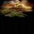 Barbara Wilcox's profile image