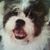 Linda Matchett Knight's profile image