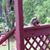Kathy Deremo Overstreet's profile image