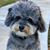 Lauren Minnehan's profile image