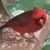 Becky Maryak's profile image