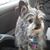 Carolyn Shiflet's profile image
