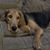 Amy Michels-Leighter's profile image