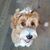 Candice Cokefair's profile image