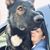 Susan Hart's profile image