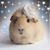 Donna-Marie Daday's profile image