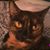 Norma Parrish's profile image