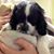 Lorilynne Pantini's profile image