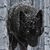 Terry Kunkel's profile image