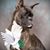 Linda Gasper's profile image