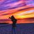 Heather Hoyt's profile image