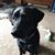 Christina Helms's profile image