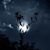 Walaa Alqubati's profile image