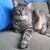 Loran Droege's profile image